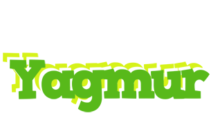 Yagmur picnic logo
