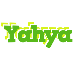 Yahya picnic logo