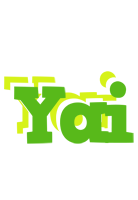 Yai picnic logo