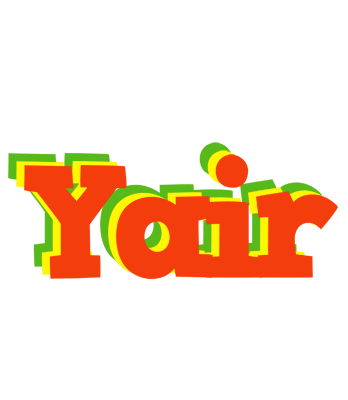 Yair bbq logo