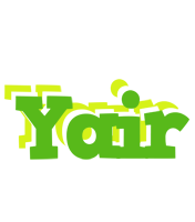 Yair picnic logo