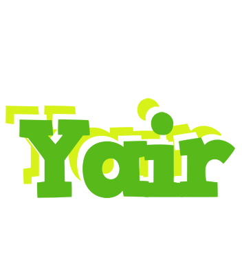 Yair picnic logo