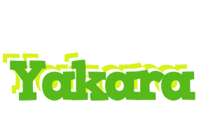 Yakara picnic logo