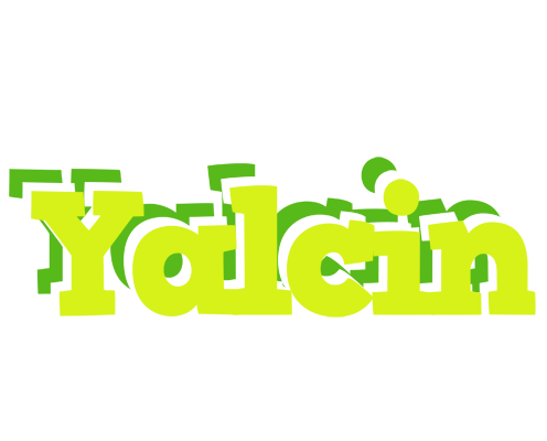 Yalcin citrus logo