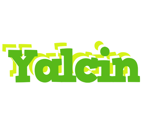 Yalcin picnic logo