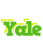 Yale picnic logo