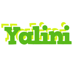 Yalini picnic logo