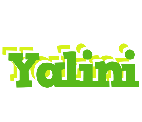 Yalini picnic logo