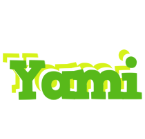 Yami picnic logo