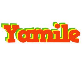 Yamile bbq logo