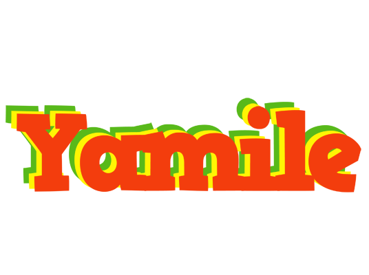 Yamile bbq logo