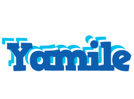 Yamile business logo