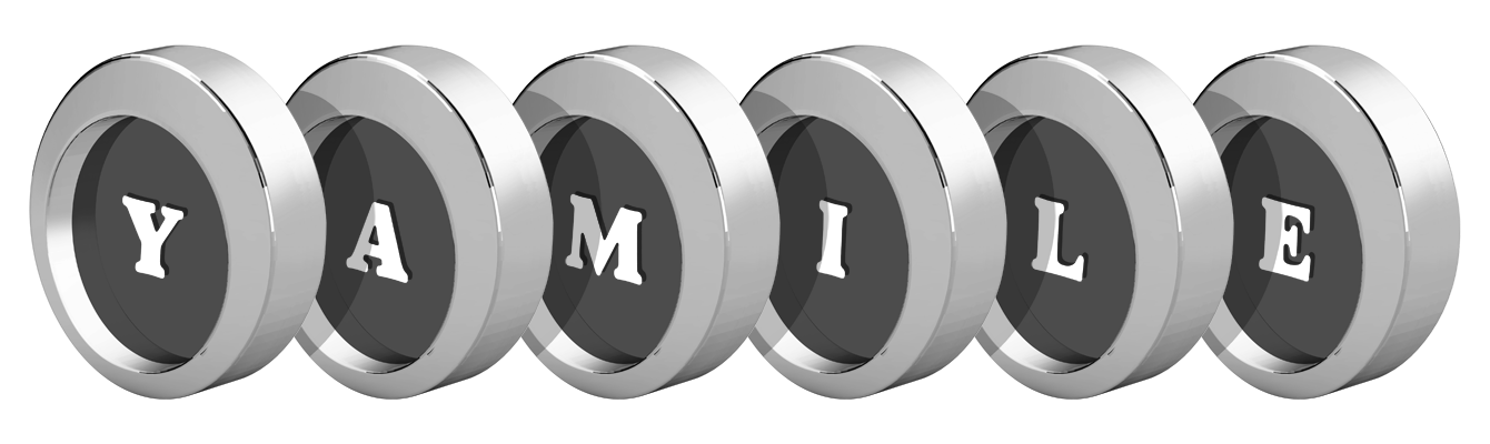 Yamile coins logo