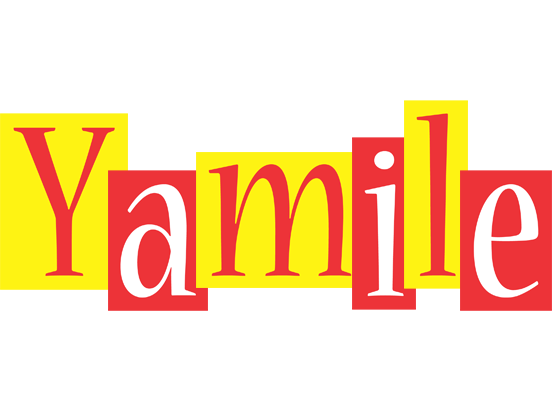 Yamile errors logo