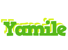 Yamile picnic logo