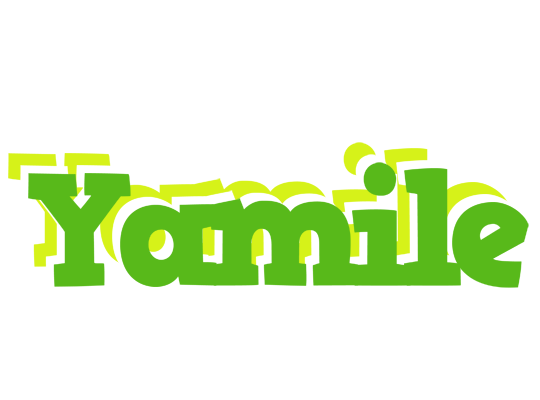 Yamile picnic logo