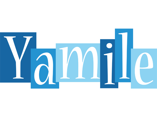 Yamile winter logo