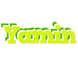 Yamin citrus logo