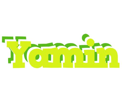 Yamin citrus logo