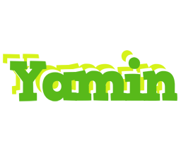 Yamin picnic logo