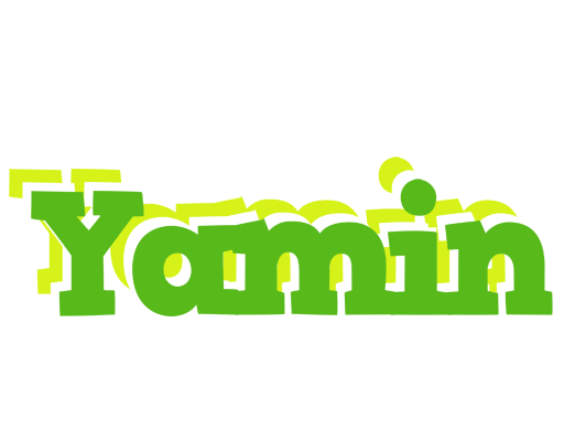 Yamin picnic logo