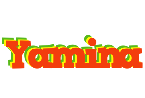 Yamina bbq logo