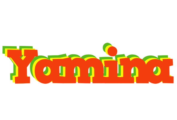 Yamina bbq logo