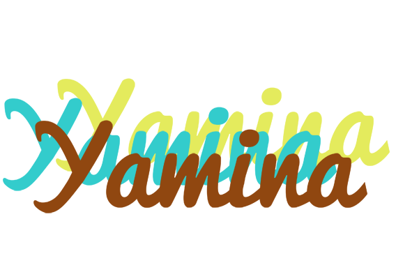 Yamina cupcake logo