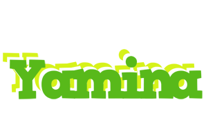 Yamina picnic logo