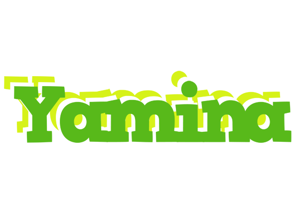 Yamina picnic logo