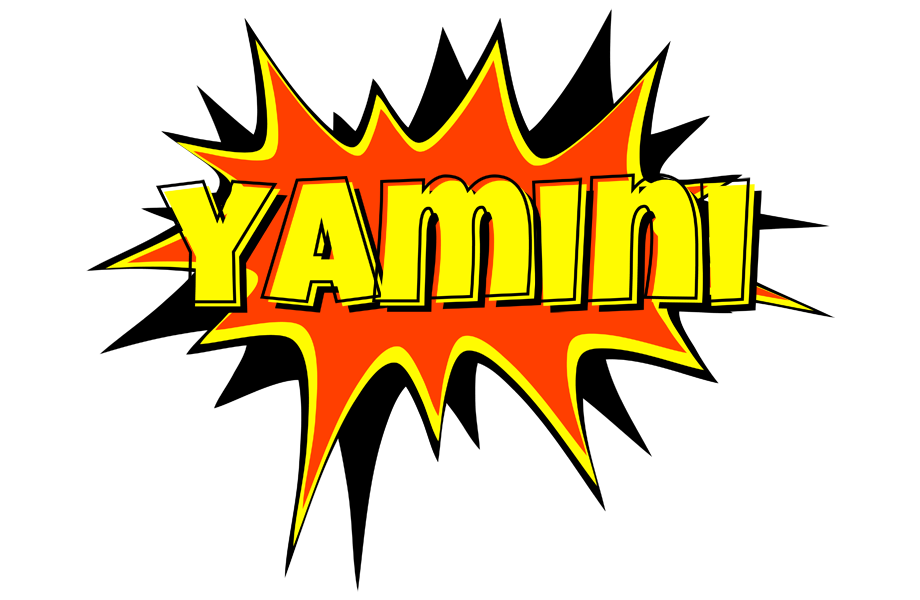 Yamini bazinga logo