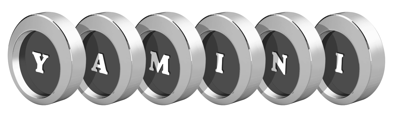 Yamini coins logo