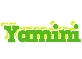 Yamini picnic logo