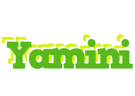 Yamini picnic logo