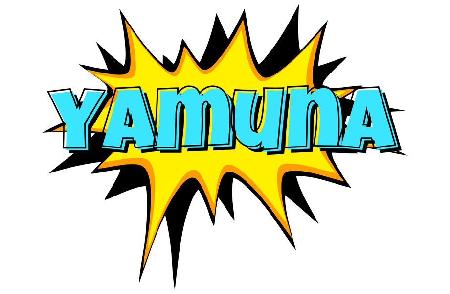 Yamuna indycar logo
