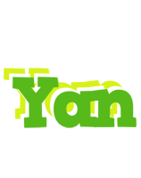 Yan picnic logo