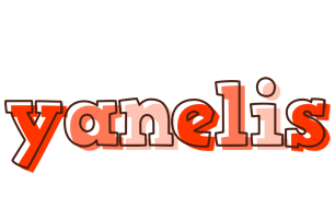 Yanelis paint logo