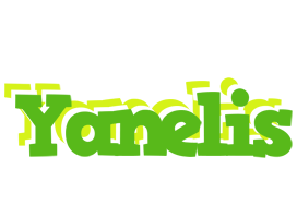 Yanelis picnic logo