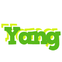 Yang picnic logo