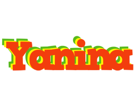 Yanina bbq logo