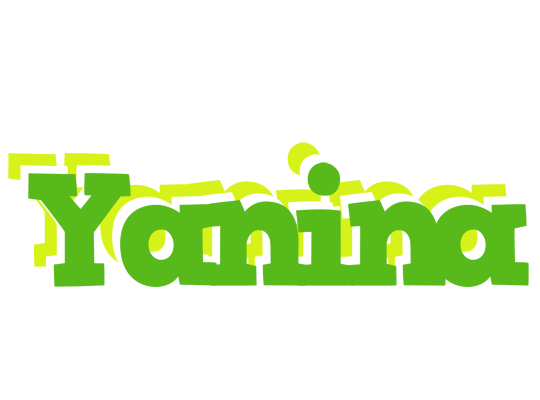 Yanina picnic logo