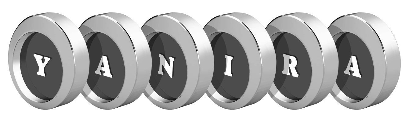 Yanira coins logo