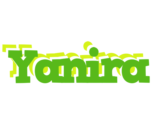Yanira picnic logo