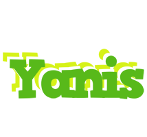 Yanis picnic logo