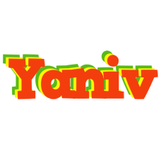 Yaniv bbq logo