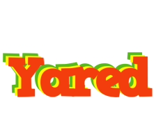 Yared bbq logo