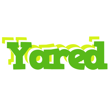 Yared picnic logo