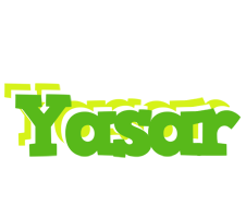 Yasar picnic logo