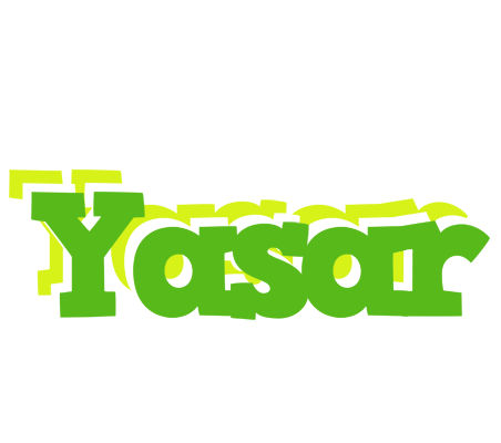 Yasar picnic logo