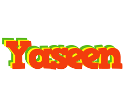 Yaseen bbq logo